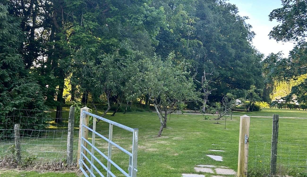 Entrance to the paddock.