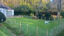 There is now a newly enclosed area immediately in front of the property, handy if you are bringing a dog.