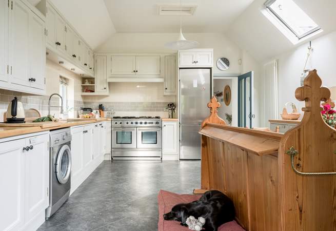 Your four-legged friend is very welcome.