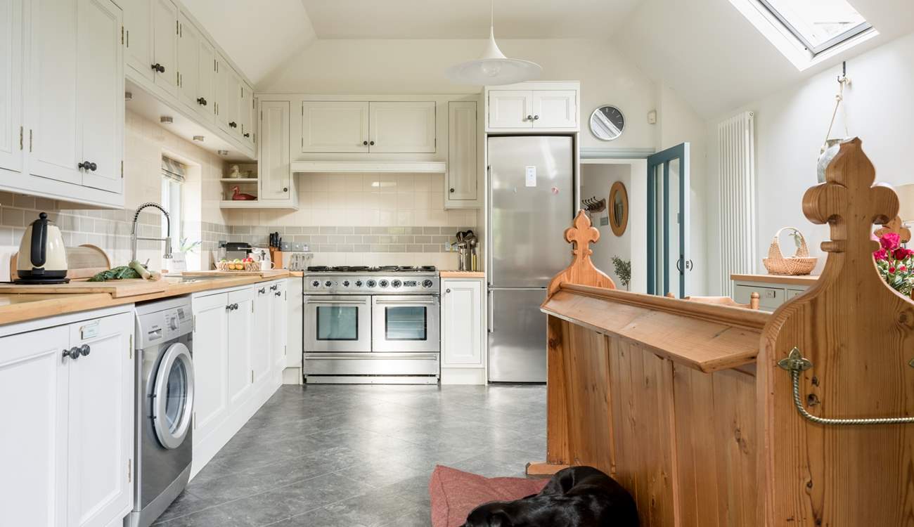 Your four-legged friend is very welcome.