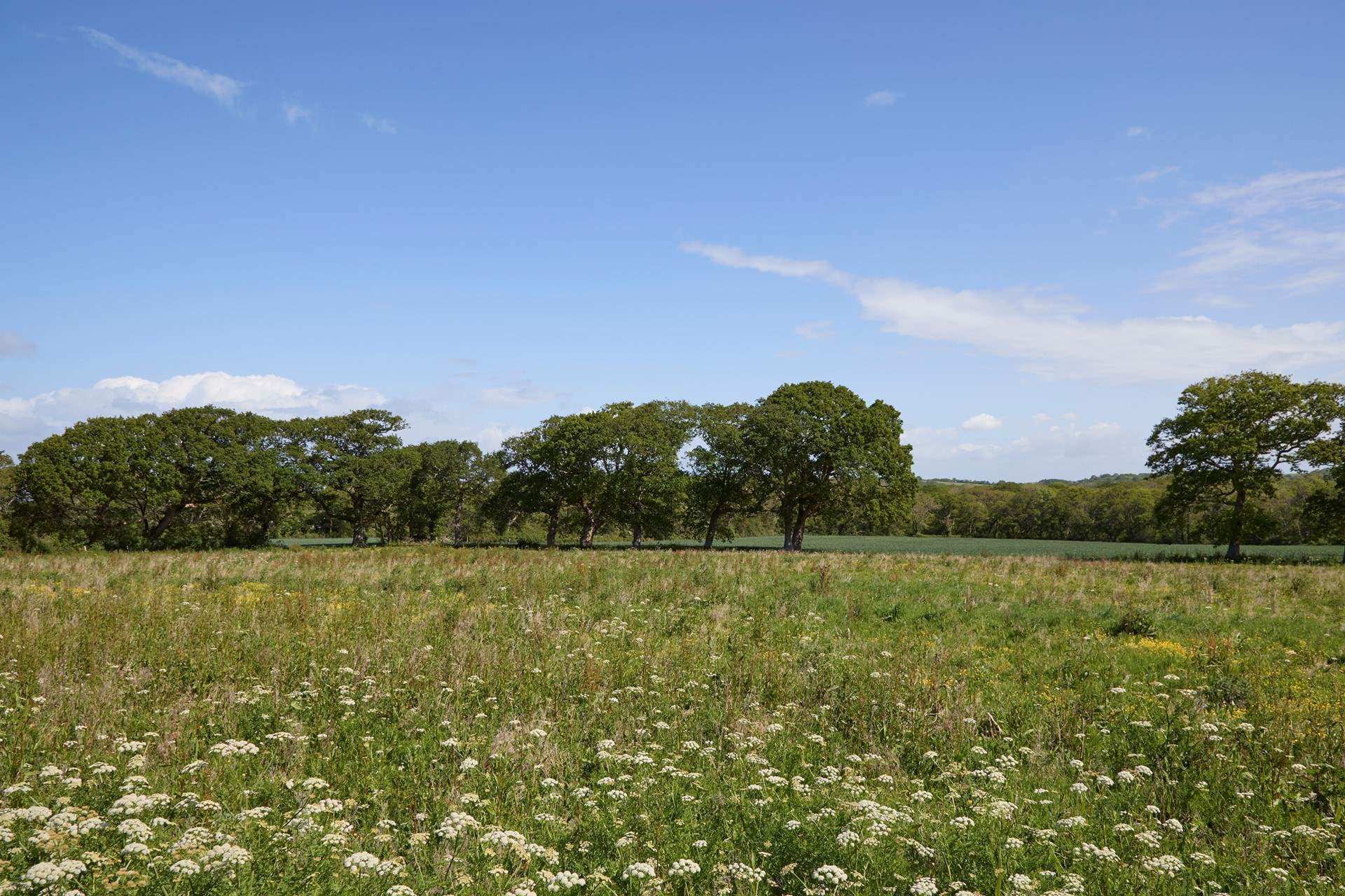 The fields beyond the garden.