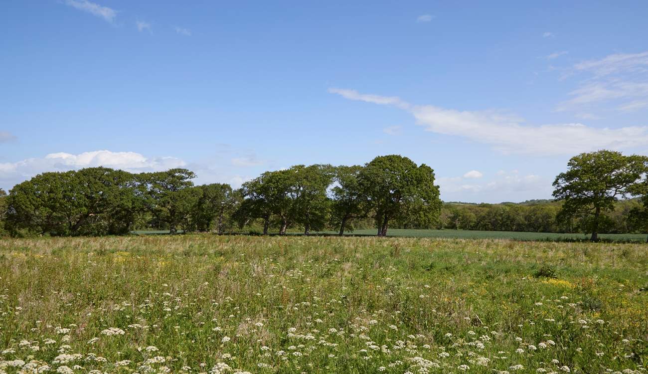 The fields beyond the garden.