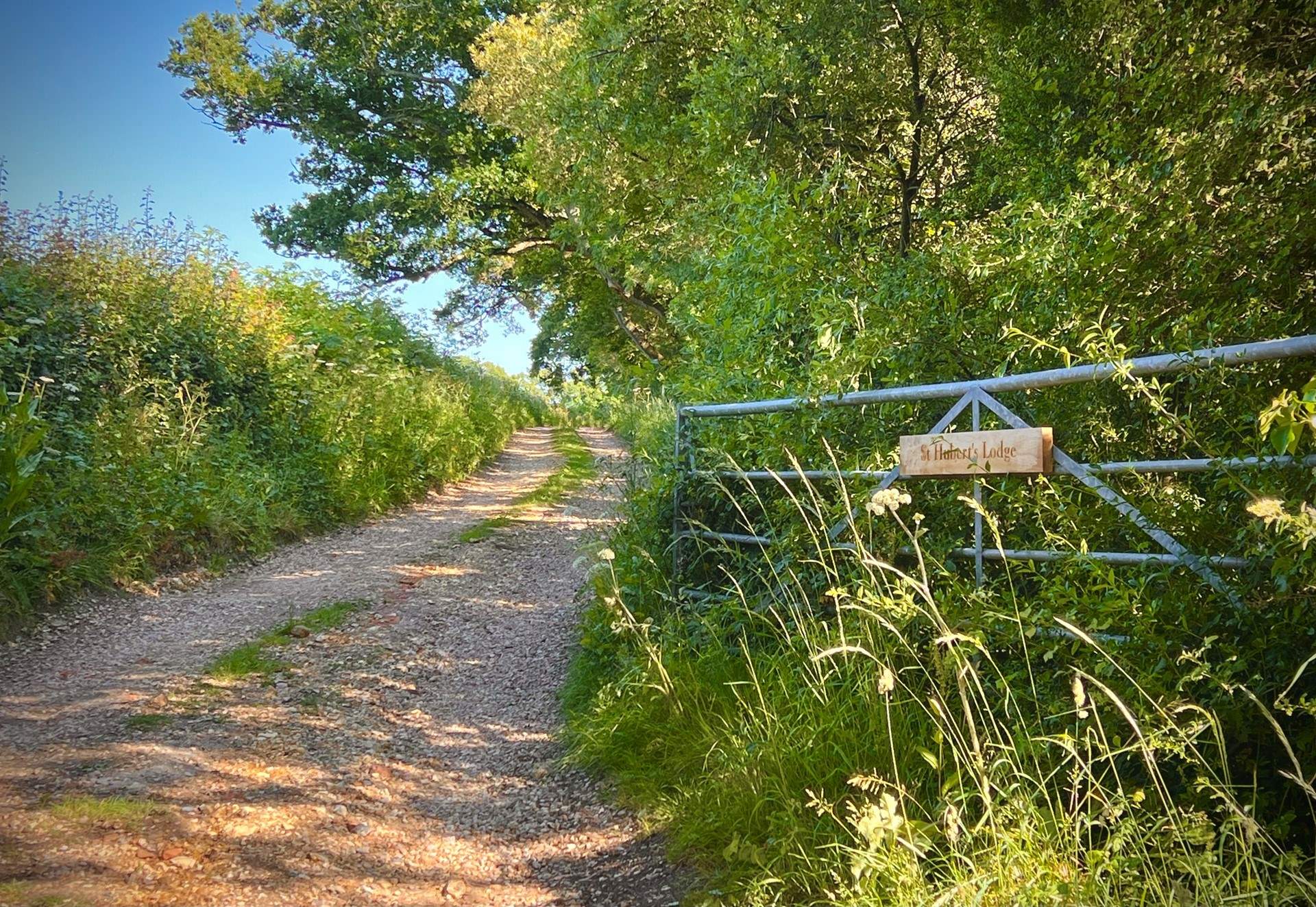 The private driveway leading to St Hubert’s Lodge and Underwood Cabin.