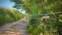 The private driveway leading to St Hubert’s Lodge and Underwood Cabin.