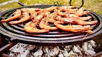 Cook a delicious al fresco supper using the fire bowl.