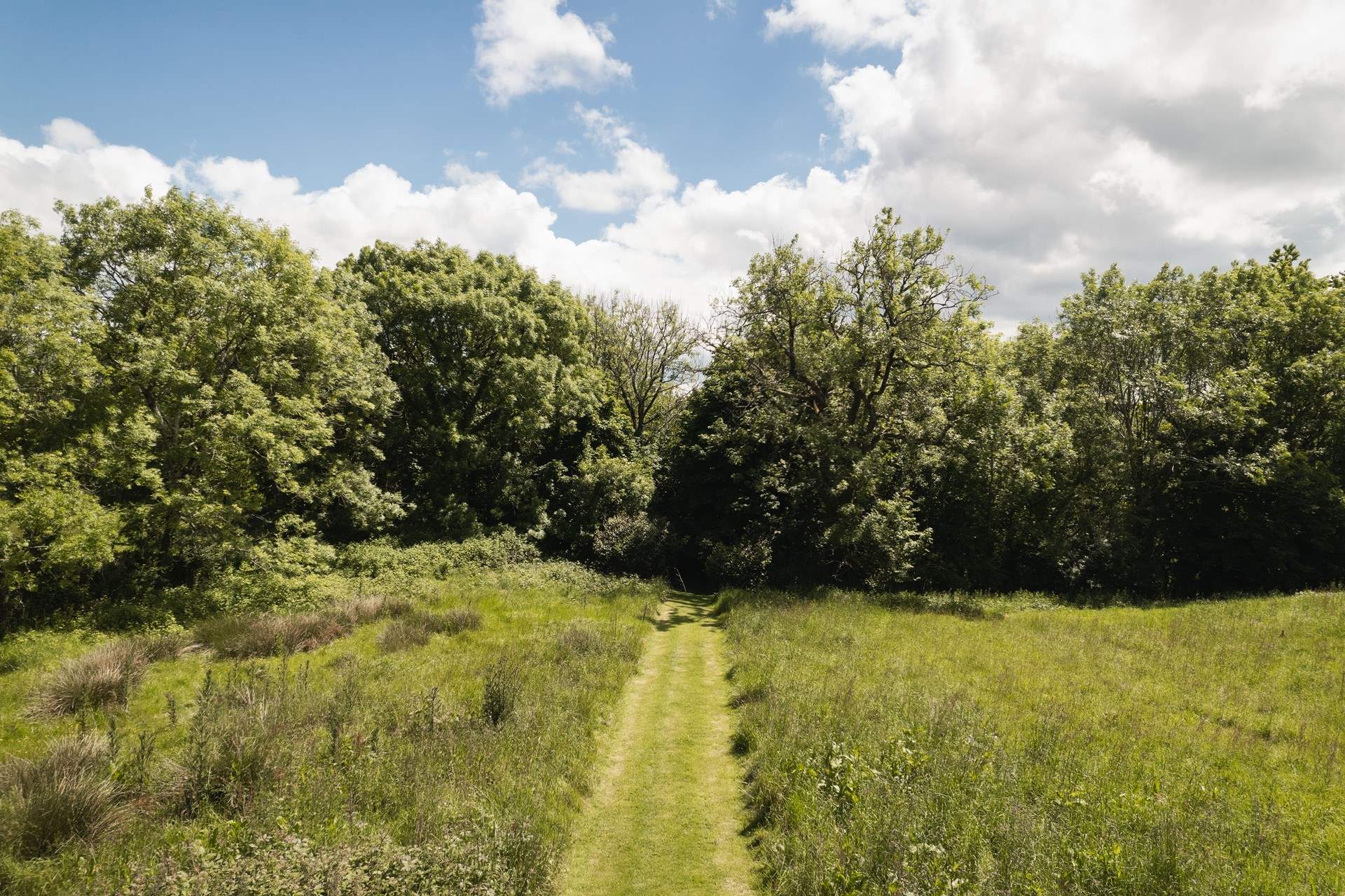 The cut paths wind their way around the neighbouring fields.