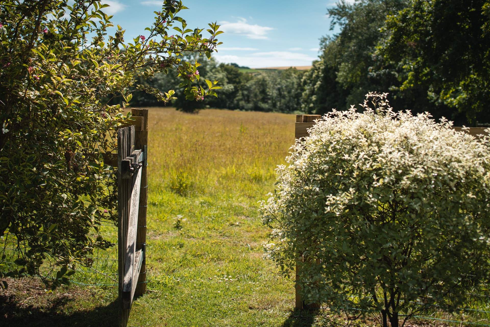 Head out of the garden gate and explore the open fields.