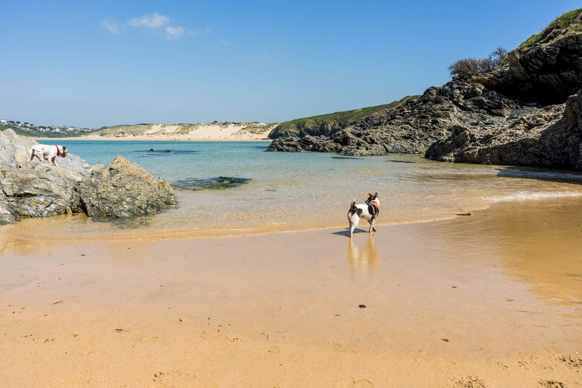 Take the ferry over to Crantock and enjoy the stunning walks around here. 