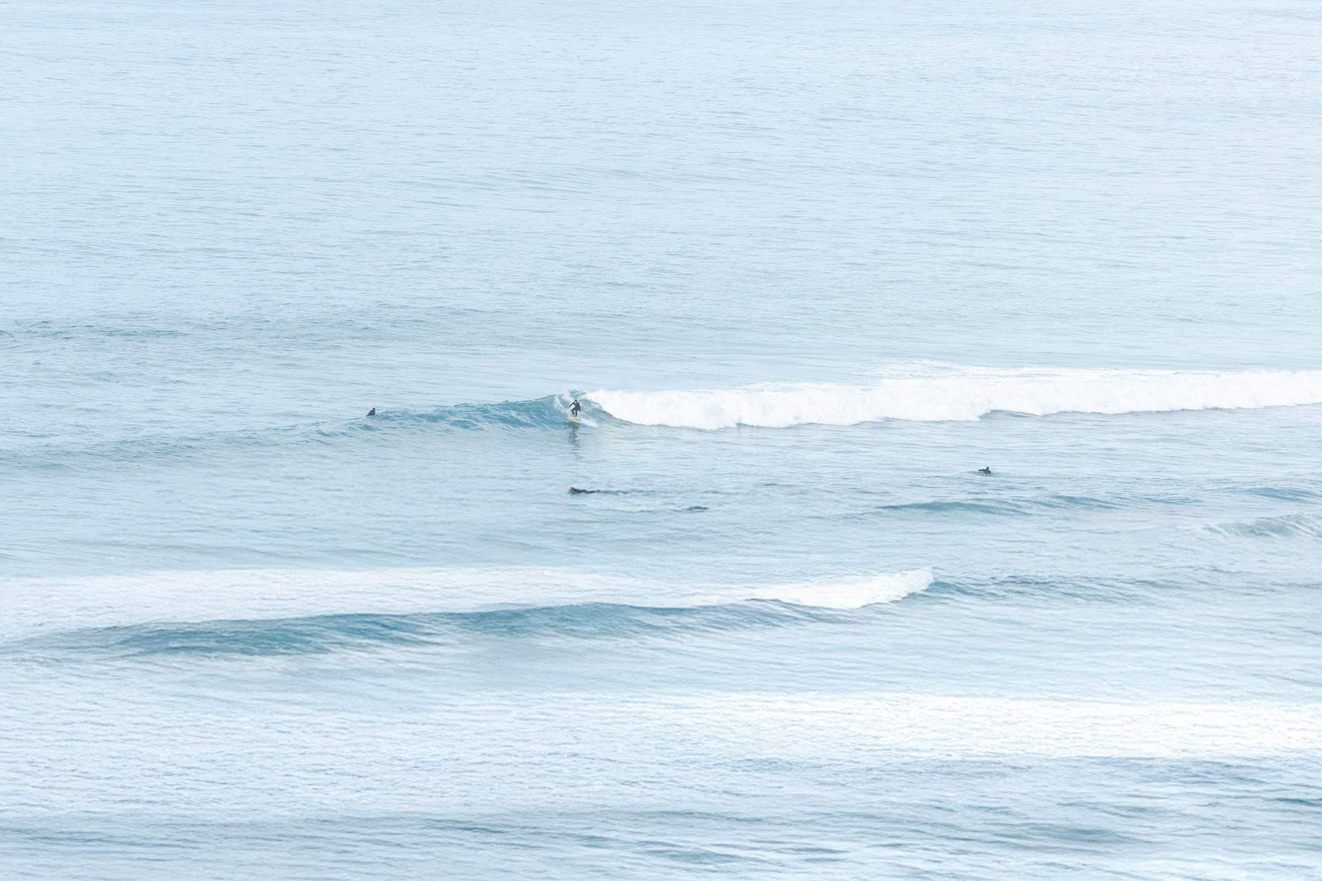 A surfers' paradise. 