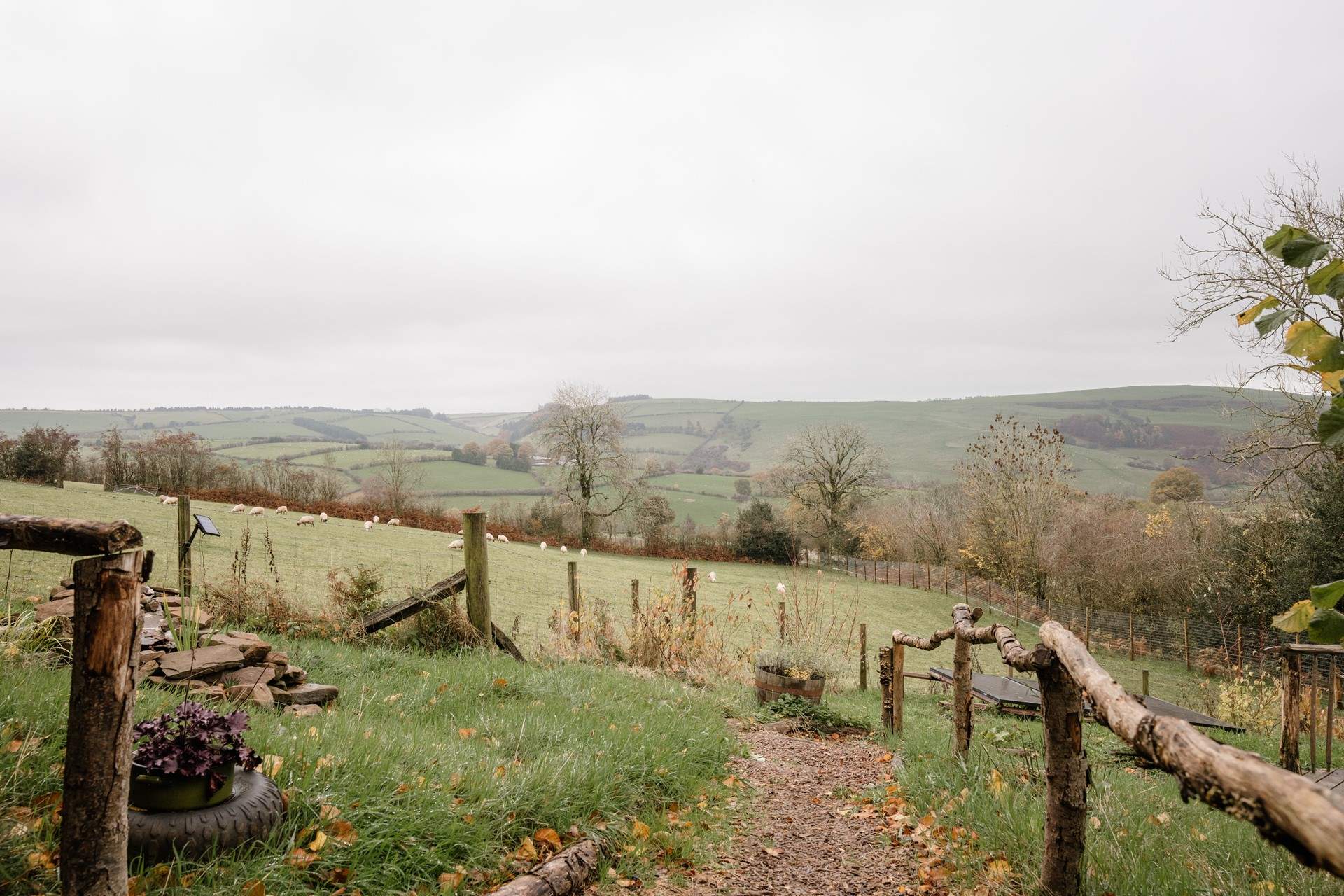 Sweeping Shropshire views of rolling fields, grazing sheep, and the endless sky beyond.