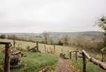 Sweeping Shropshire views of rolling fields, grazing sheep, and the endless sky beyond.