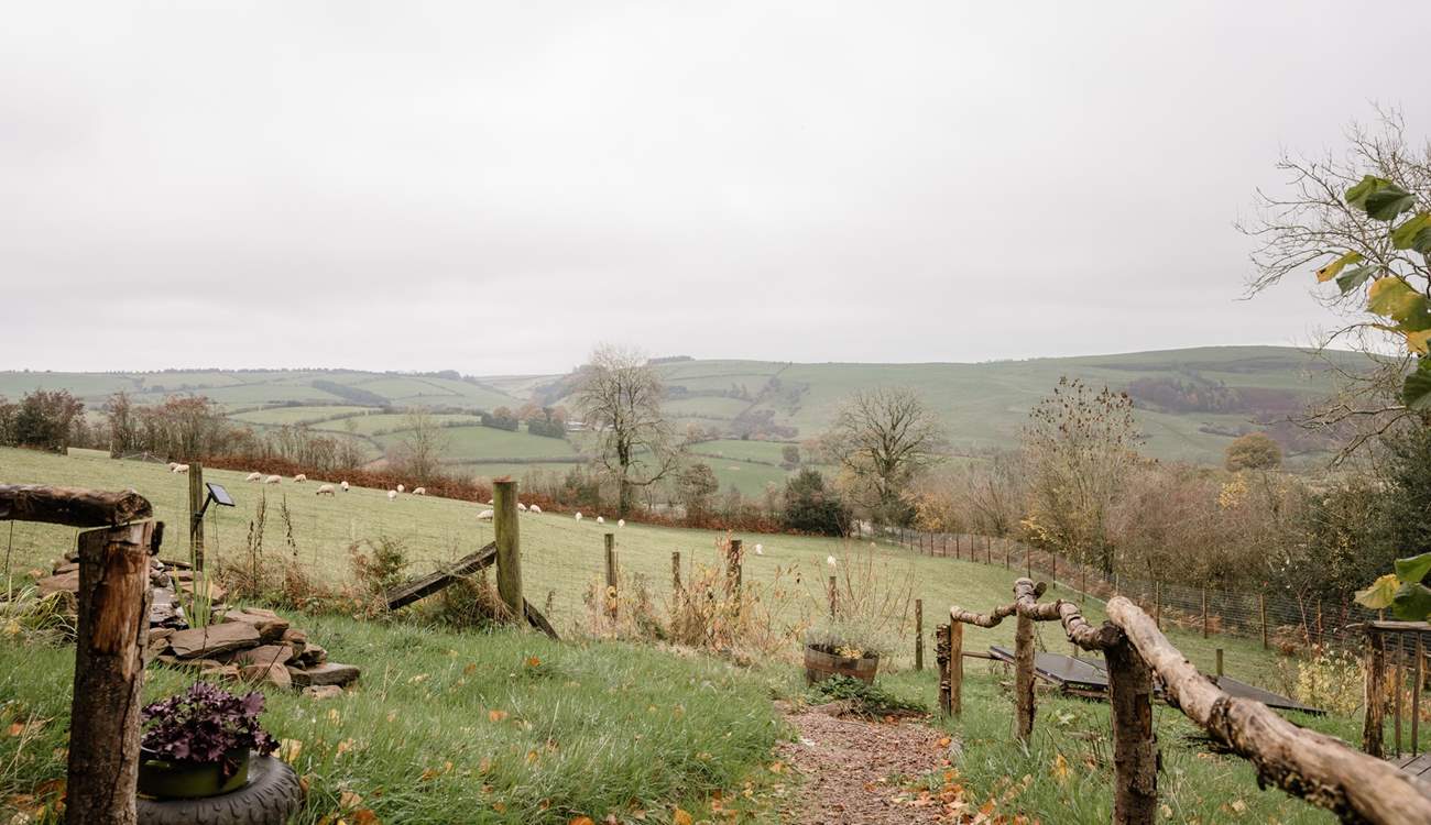 Sweeping Shropshire views of rolling fields, grazing sheep, and the endless sky beyond.