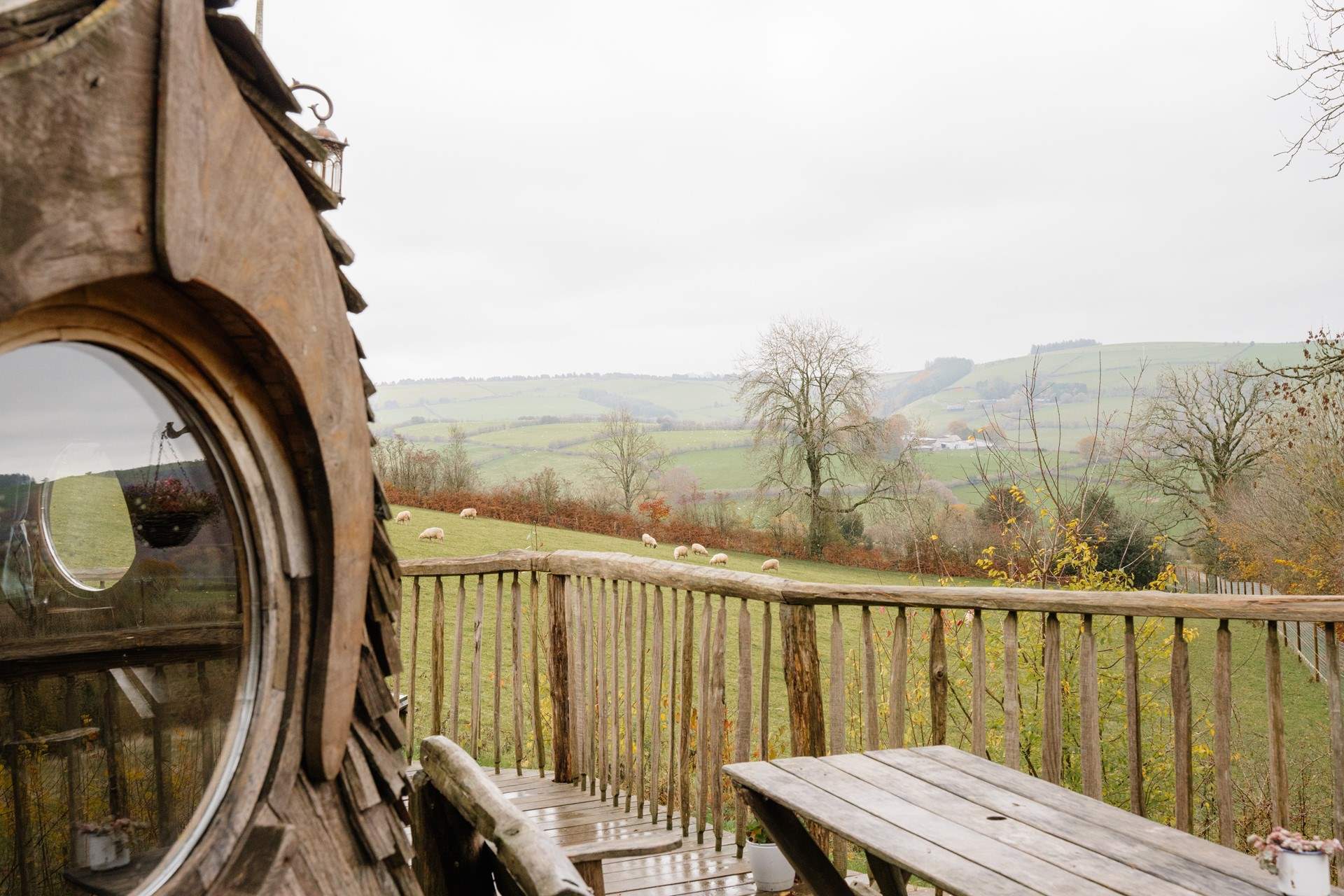 The sweetest view for your morning coffee.