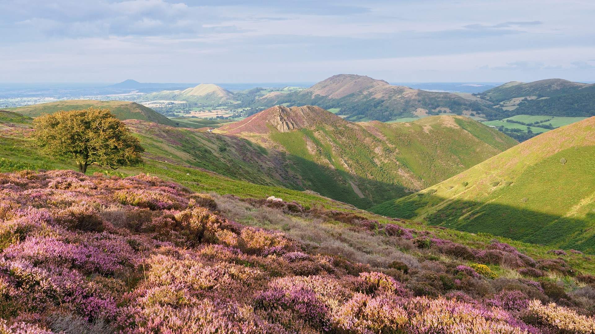 Experience wide horizons, heritage landscapes and true tranquility in the Shropshire Hills.