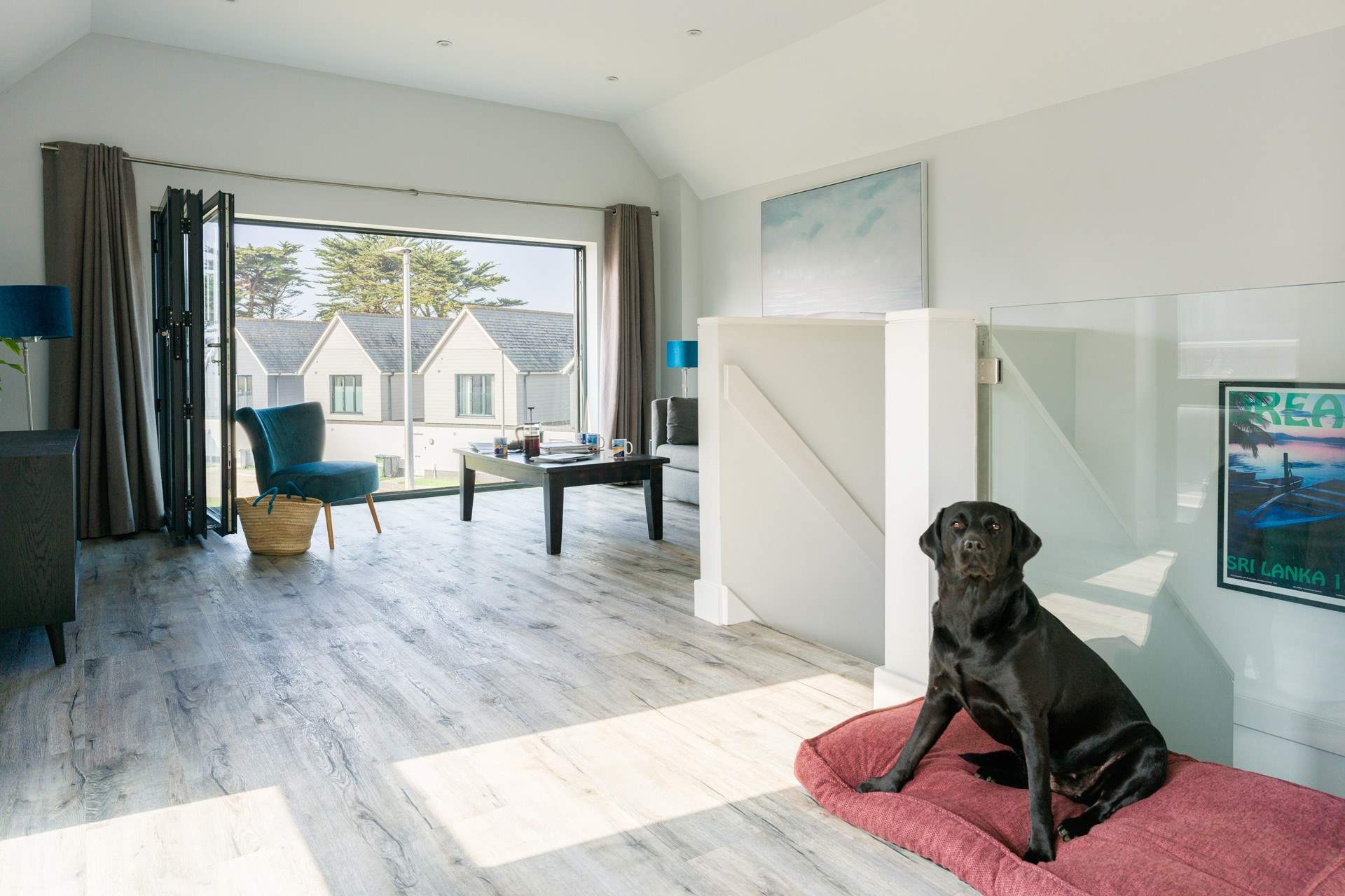 Even the family pet will be happy.