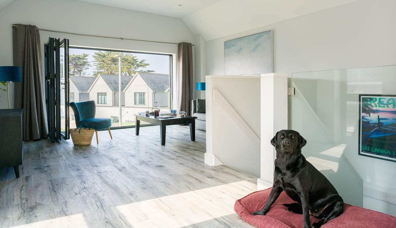 Even the family pet will be happy.