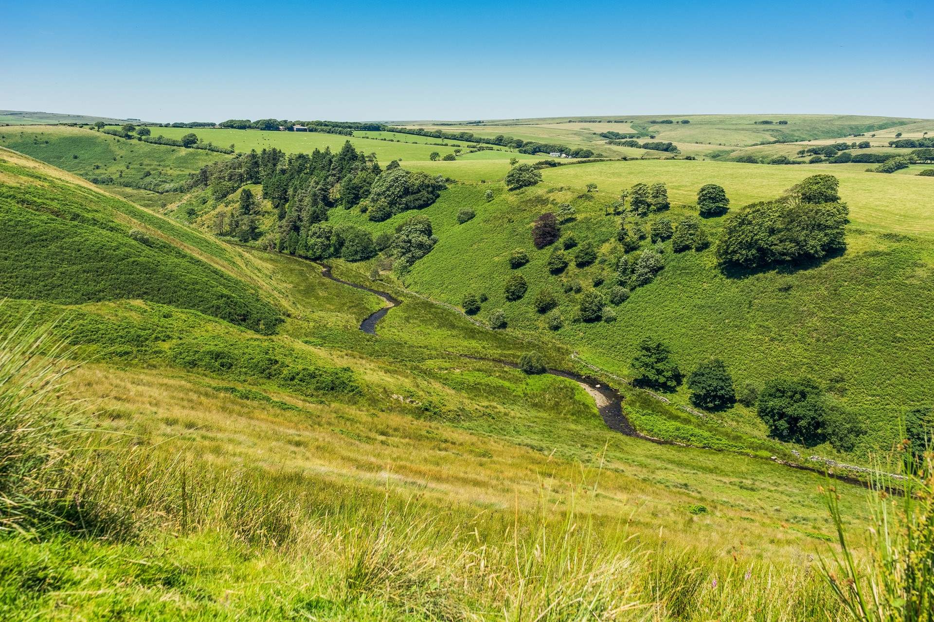 Exmoor offers miles of open space, stunning walking trails, deep valleys and tumbling rivers.