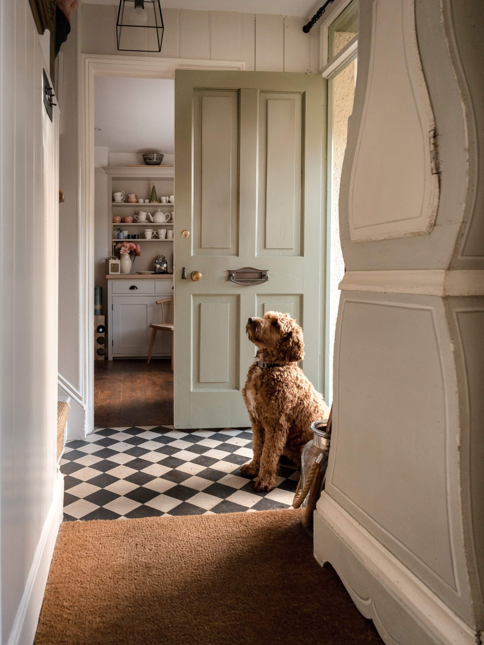 And of course your four-legged companions are very welcome.