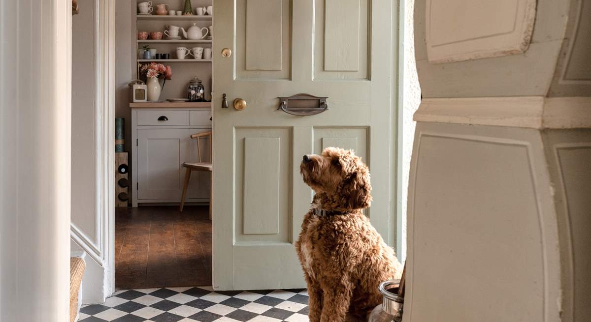 And of course your four-legged companions are very welcome.