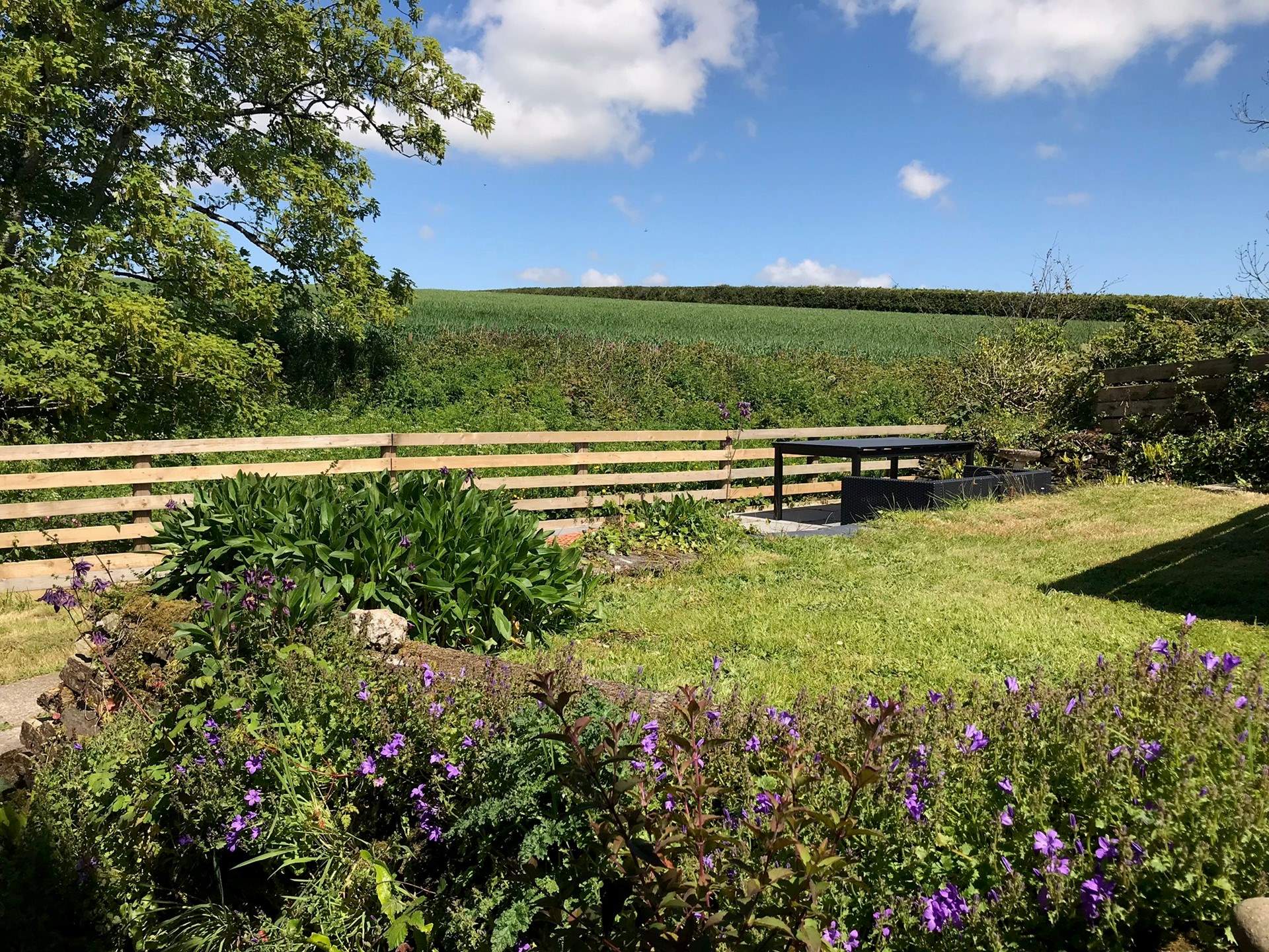 The countryside views from the back garden and patio.