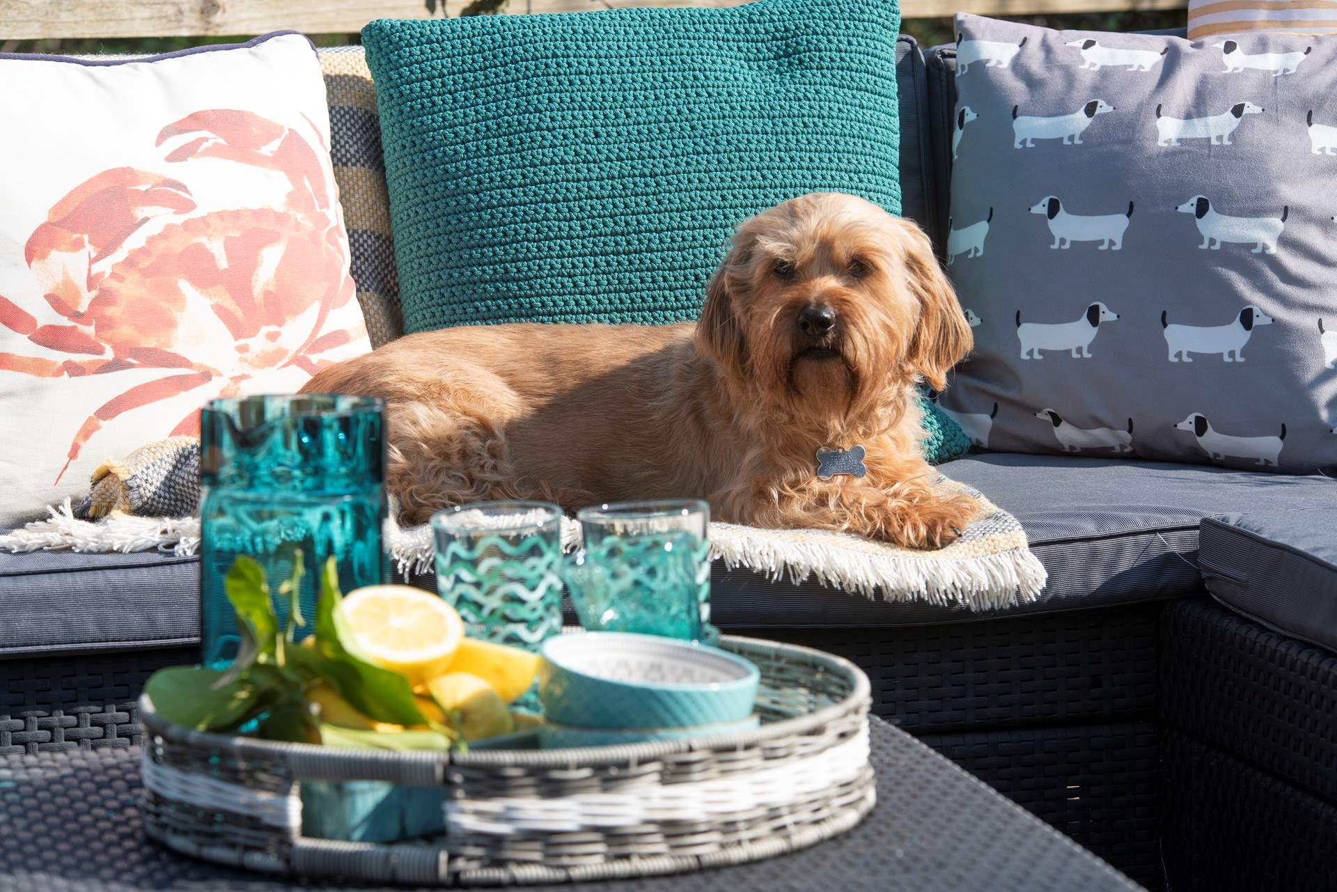 Your four legged friends are most welcome at Rose End Cottage.