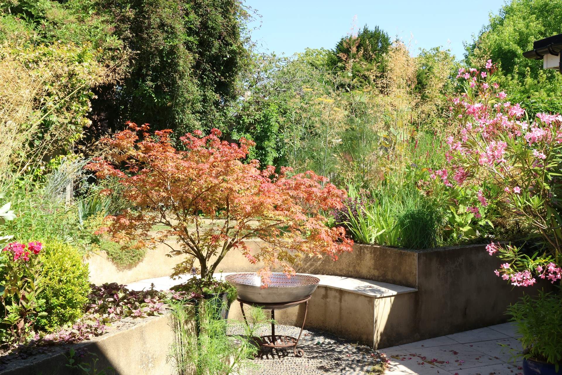 Enjoy this beautiful garden with areas the whole family can enjoy.