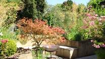Enjoy this beautiful garden with areas the whole family can enjoy.