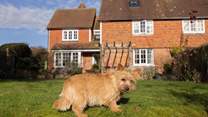 Dogs will love staying here too!
