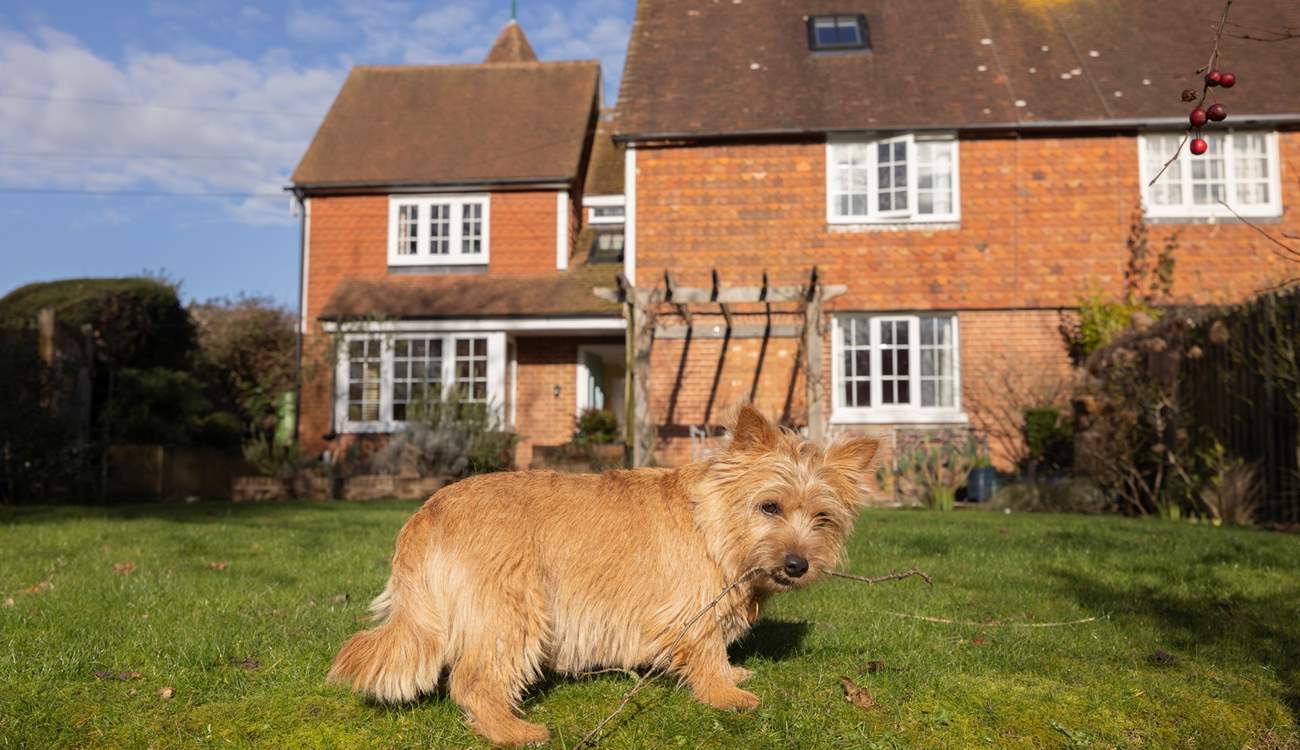 Dogs will love staying here too!