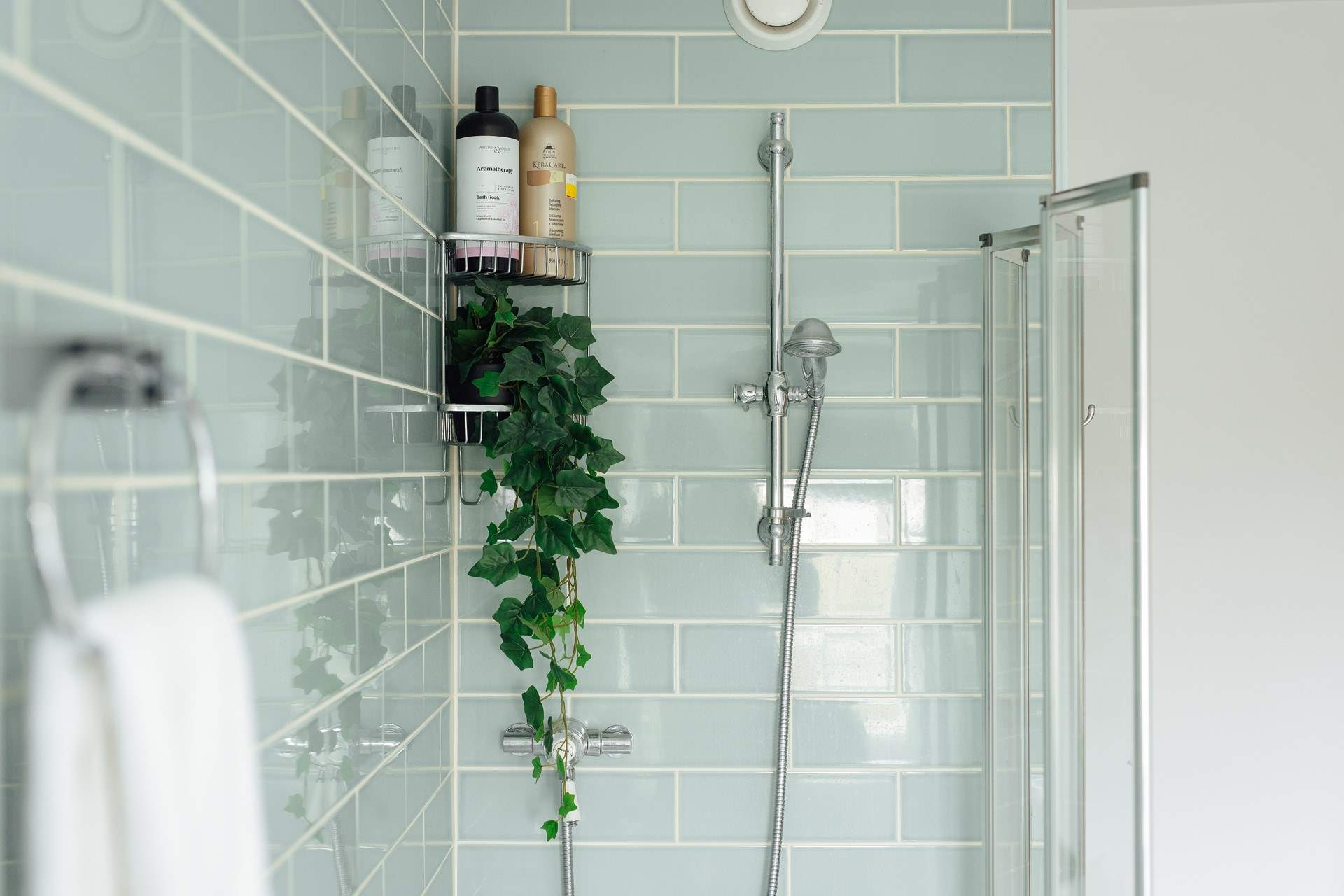 Time for some holiday pampering. 