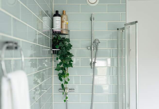 Time for some holiday pampering. 