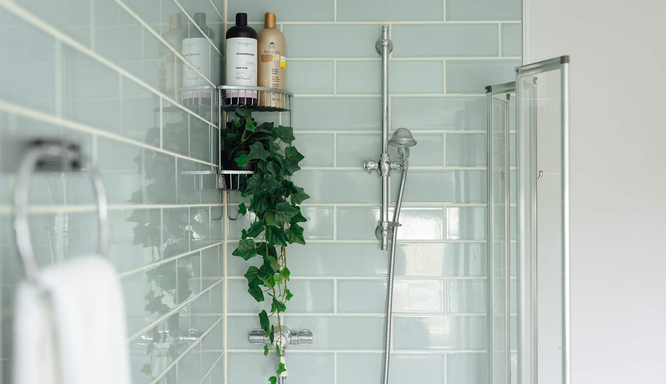 Time for some holiday pampering. 