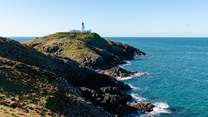 Spot seals and dolphins from Strumble Head. 