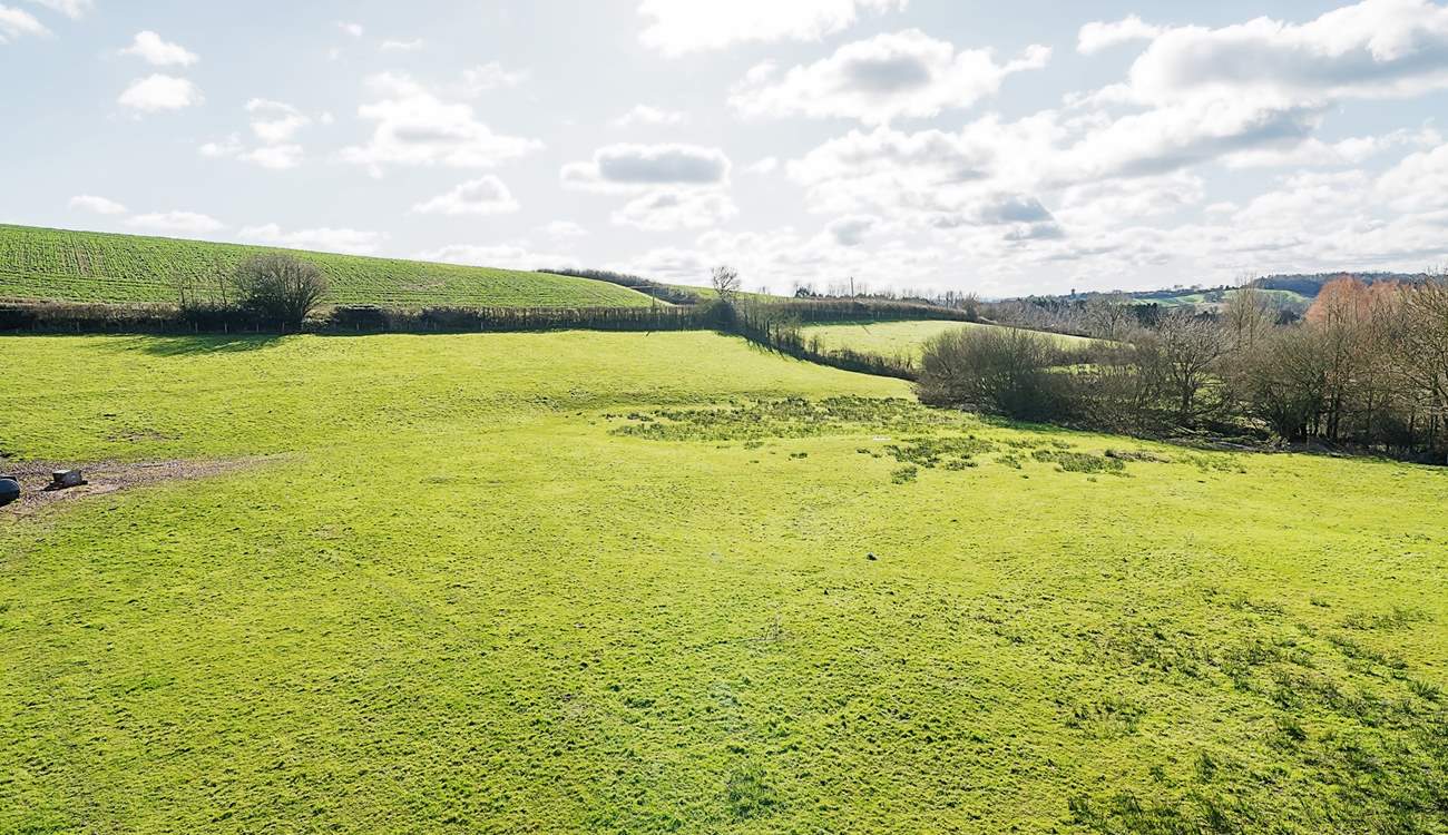 Miles and miles of unspoilt greenery. Peace and tranquility in abundance.