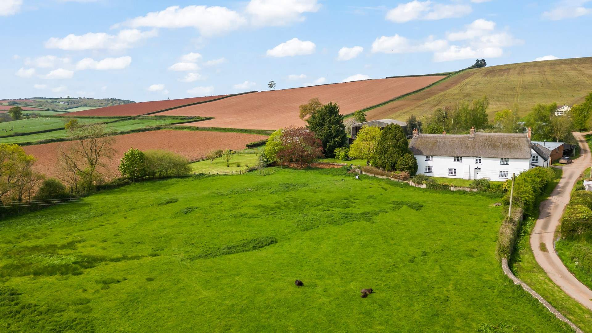 Miles and miles of unspoilt greenery. Peace and tranquility in abundance.