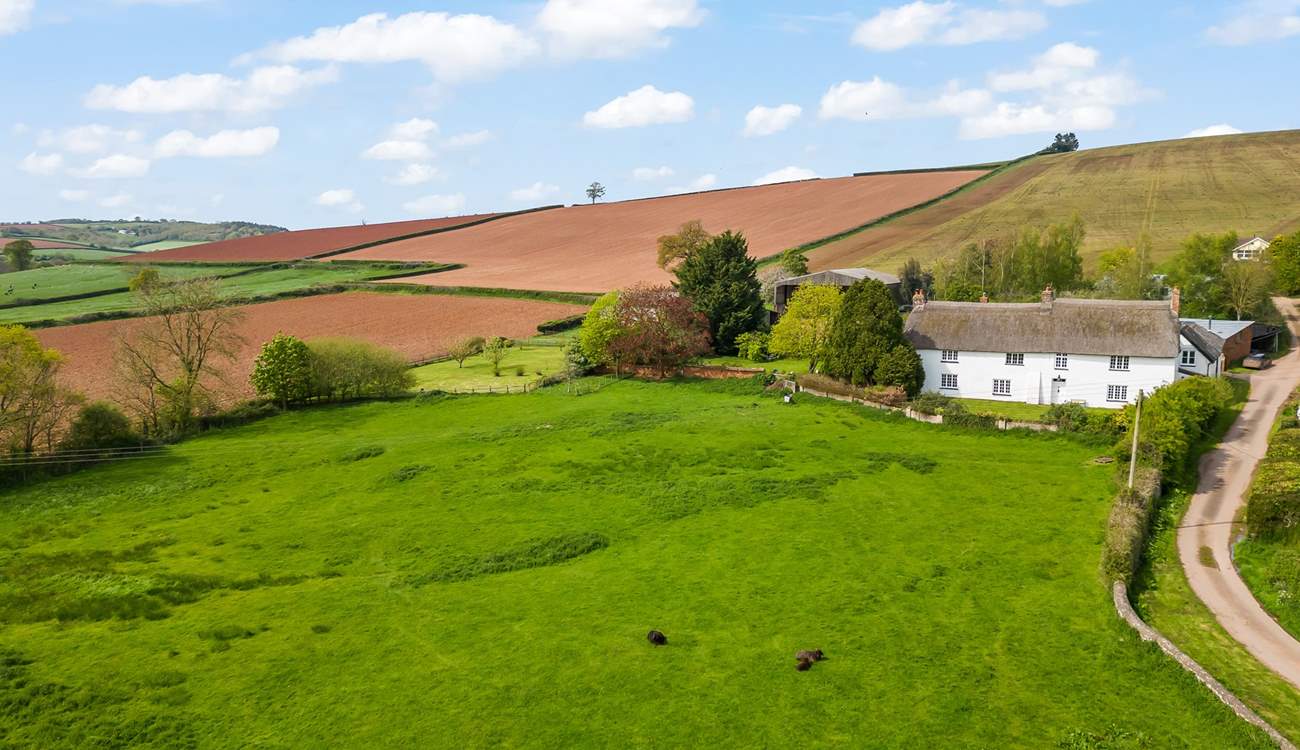 Miles and miles of unspoilt greenery. Peace and tranquility in abundance.