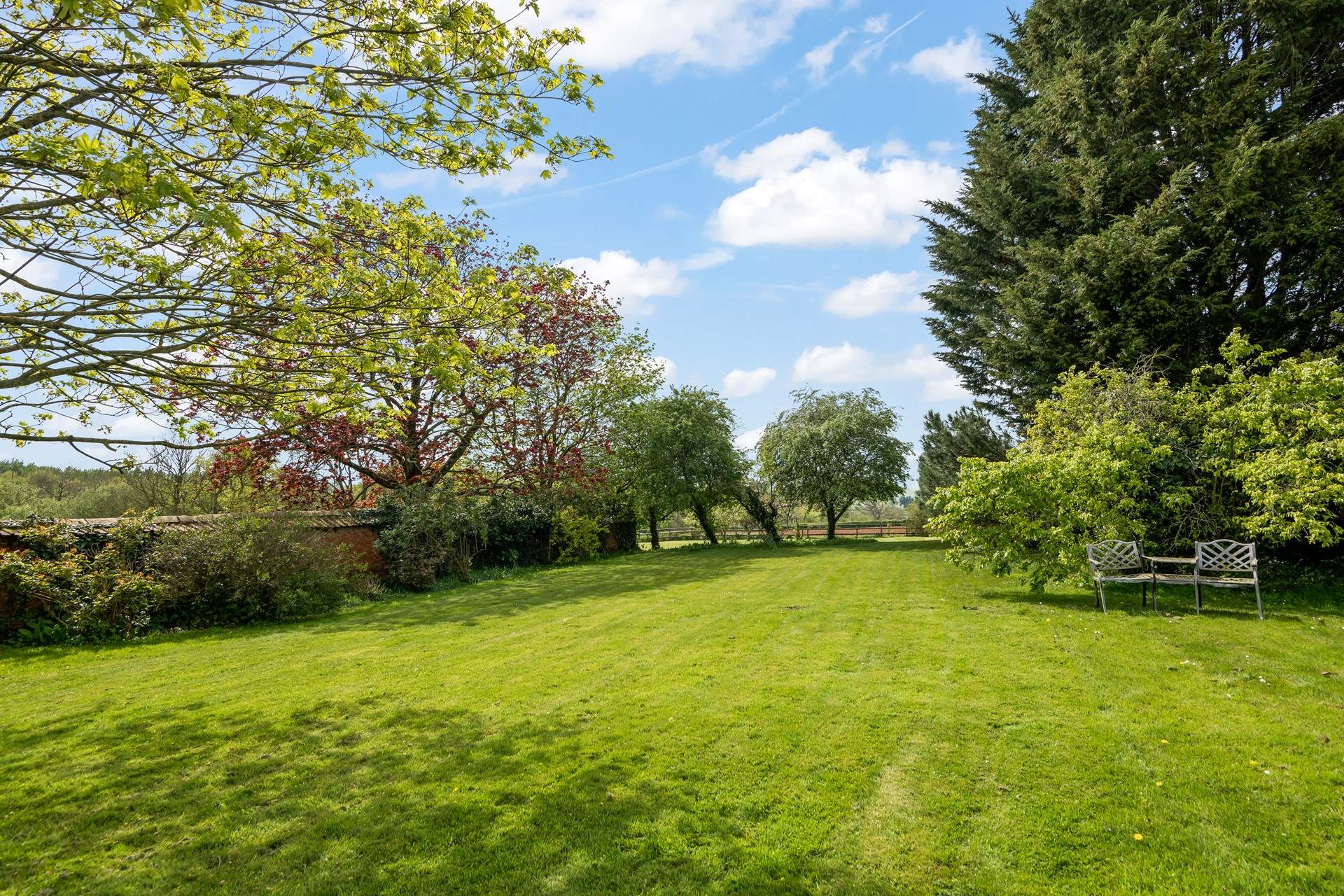 Your verdant surroundings.
