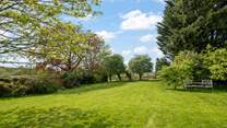 Your verdant surroundings.