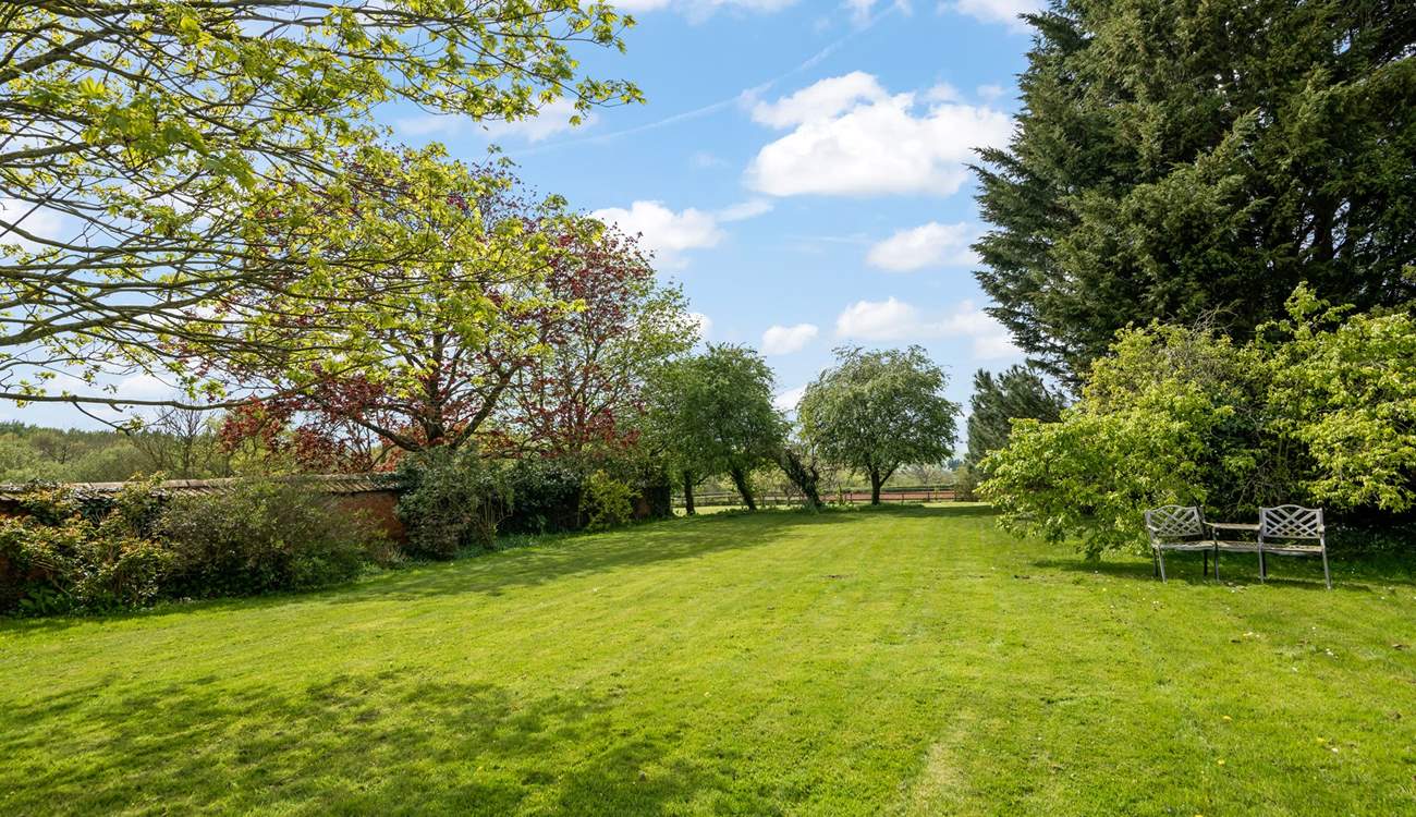 Your verdant surroundings.