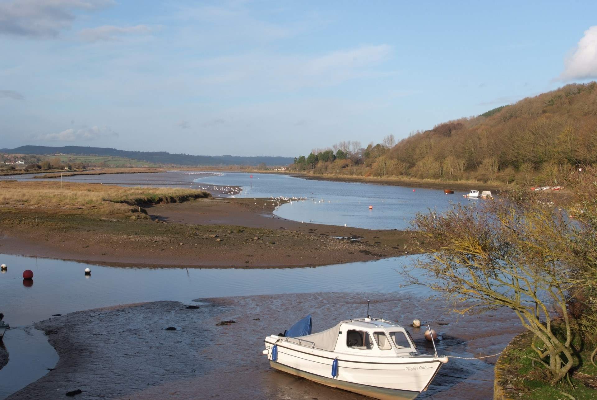 The picturesque Axe Valley, along which the Seaton Tramway runs, is packed with wildlife.