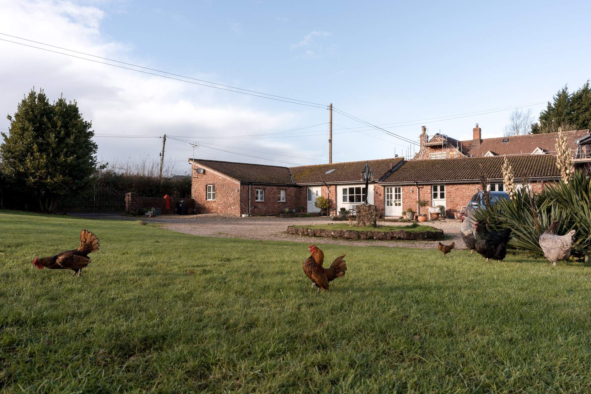 You may be lucky and get a visit from the friendly chickens!