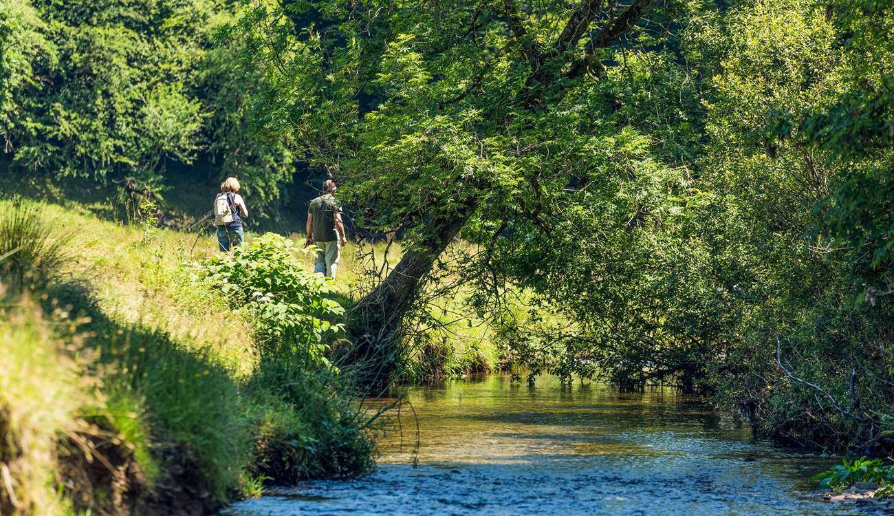 Exmoor is a particularly special place with so much variety.