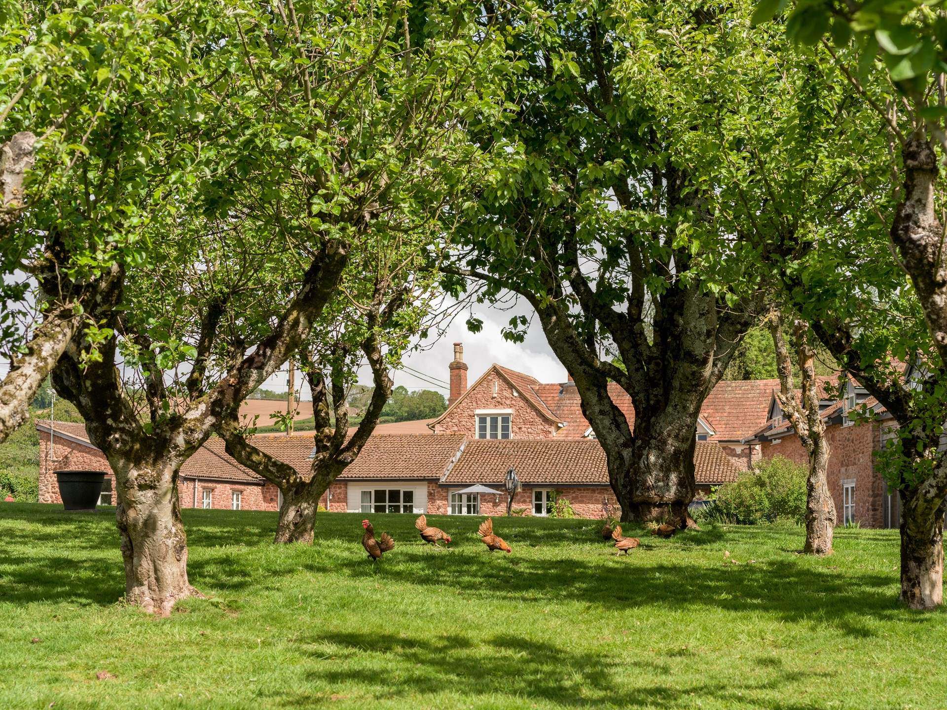 A chickens-eye view of this lovely conversion...