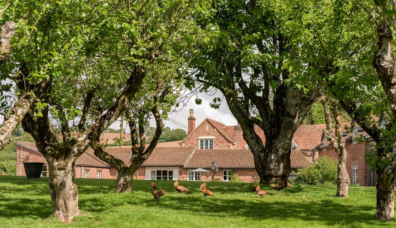 A chickens-eye view of this lovely conversion...