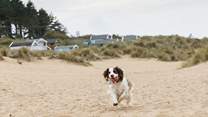 You are just yards from Old Hunstanton beach, popular with four-legged friends who love to explore the soft sands and dunes.