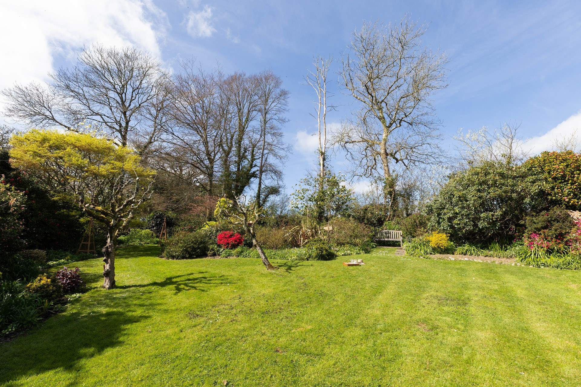The verdant garden is a great space for a picnic. 