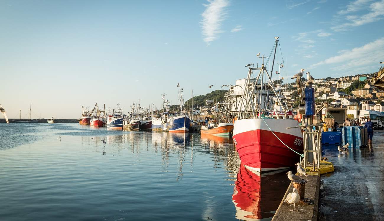 Stop in the bustling harbour in Newlyn.