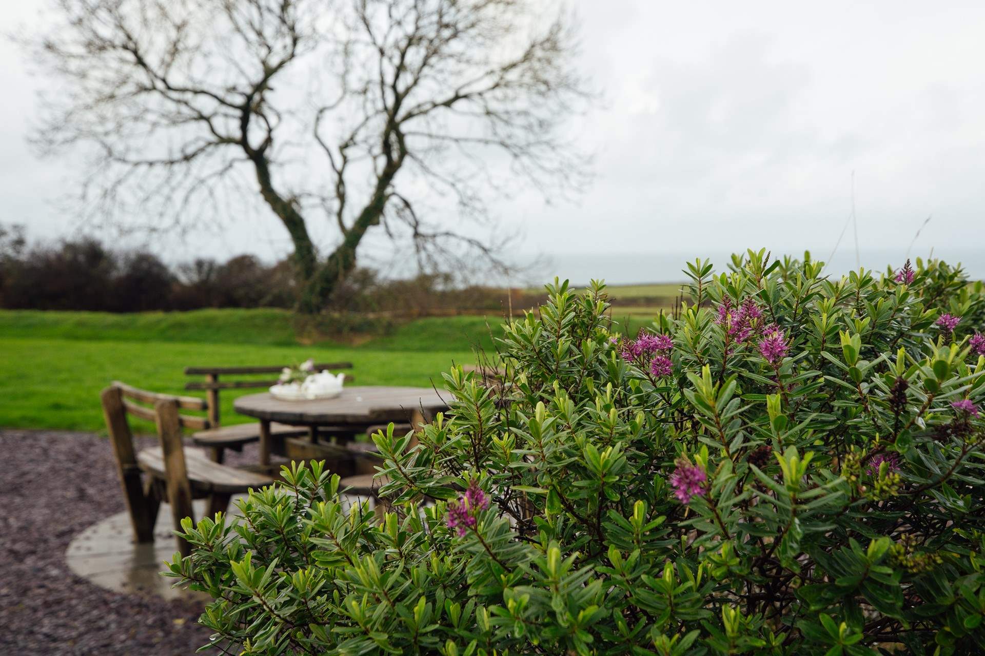 Gaze out to sea from the spacious lawns which surround the cottage. 