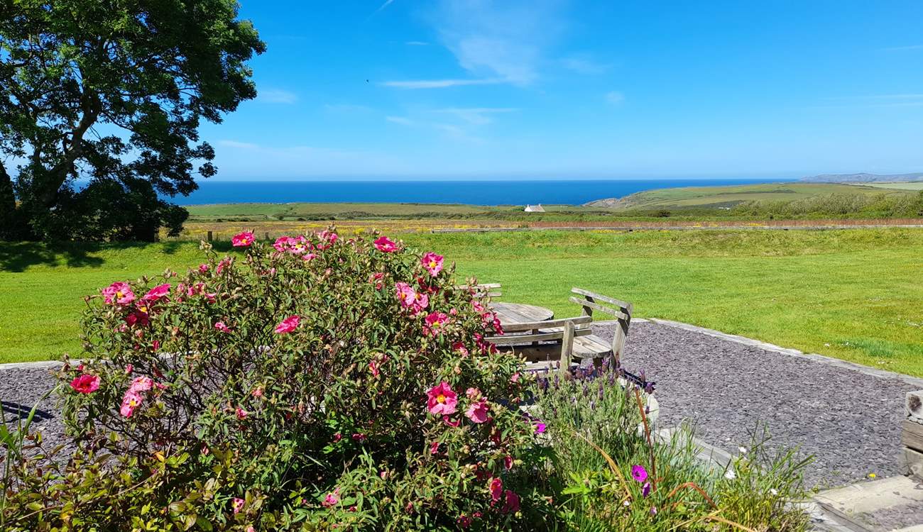 Big blue skies and the crystal blue sea. Children and the dogs will love playing on the spacious lawns.