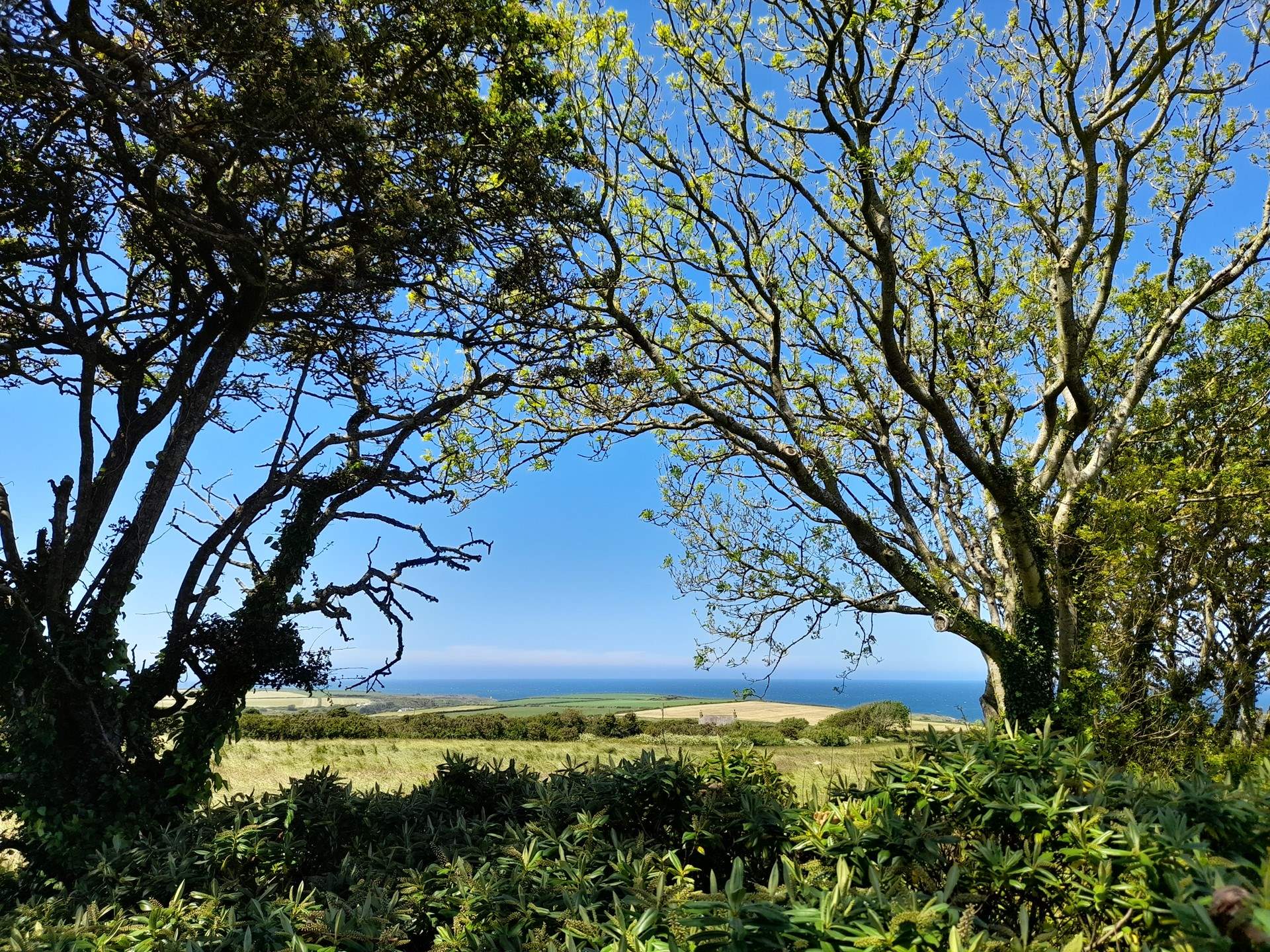 Spellbinding views and spacious lawns in an idyllic coastal location. 